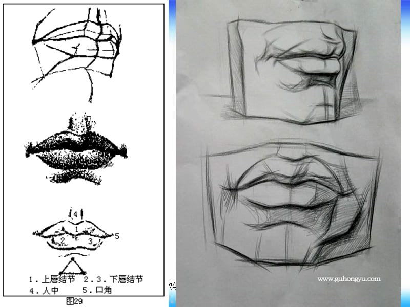 苏少版美术七下第二课《关注你、我、他》ppt课件4_第3页