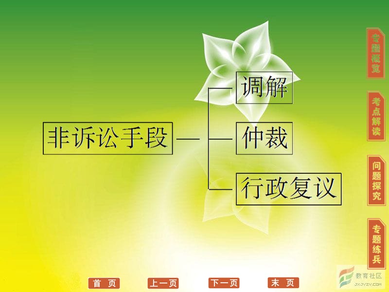 高三政治选修5一轮复习课件：专题6 法律救济_第3页