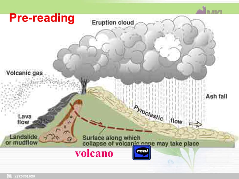 选修六 5.14《Unit 5　Reading》_第3页