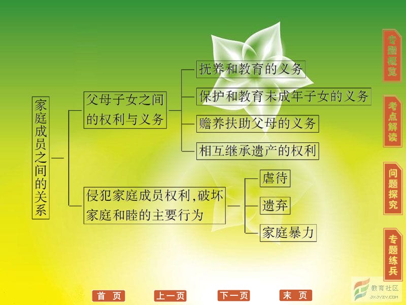 高三政治选修5一轮复习课件：专题5 家庭与婚姻_第3页