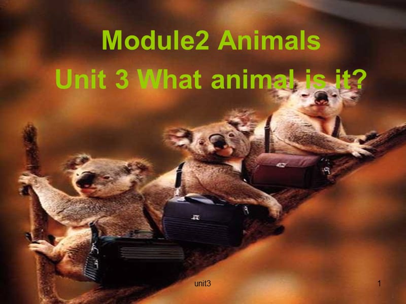 六年级下册英语课件-Unit 3 What animal is it (1) 教科版（广州三起）(共104张PPT)_第1页