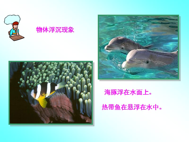 八年级物理《物体的浮与沉》PPT_第3页