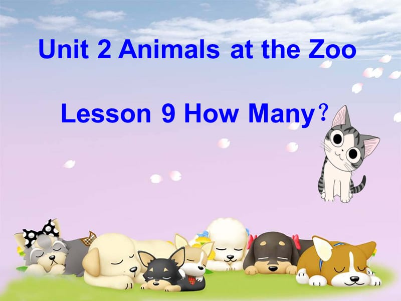 三年级下册英语课件-Unit 2 Lesson 9 How Many ∣ 冀教版 (三起) (共27张PPT)_第1页