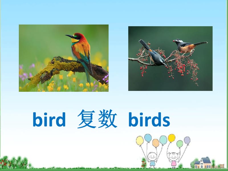 三年级下册英语课件 － Lesson 3 Fish and Birds》｜冀教版（三起） (共23张PPT)_第3页