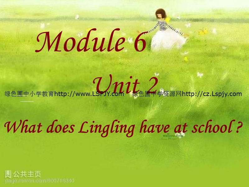 英语三年级下外研版(三起)《Module6 Unit 2 What does Lingling have at school》课件_第1页