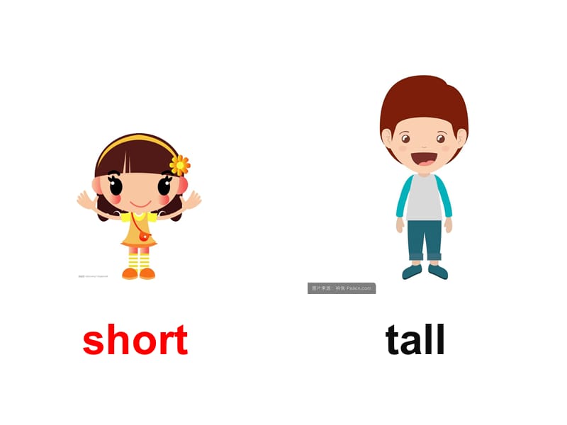 四年级下册英语课件 - Unit 3 Lesson 14 Are You Short or Tall∣冀教版 (三起) (共15张PPT)_第3页