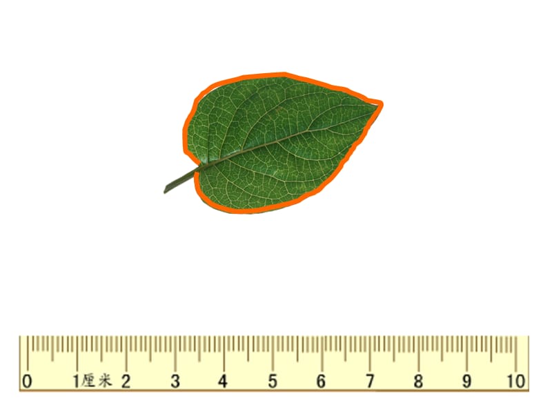 年数学人教版三上《认识周长》PPT课件_第2页