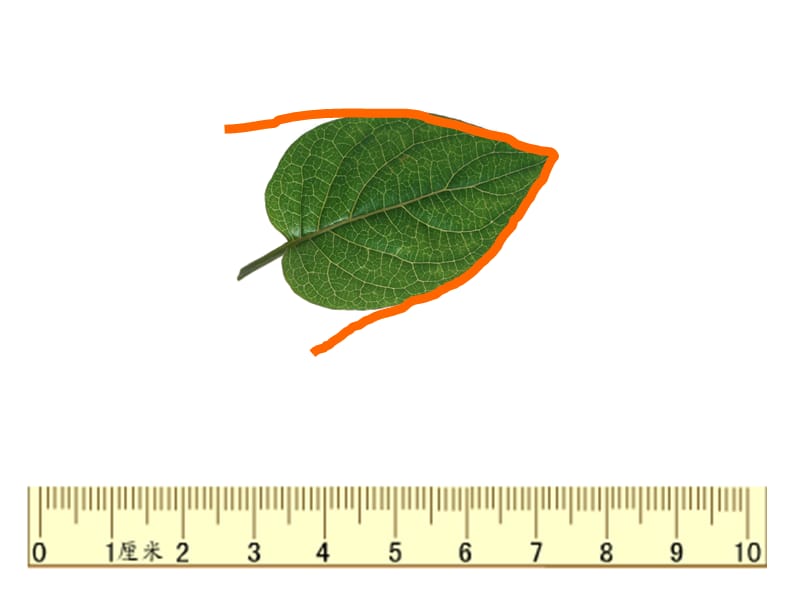 年数学人教版三上《认识周长》PPT课件_第3页