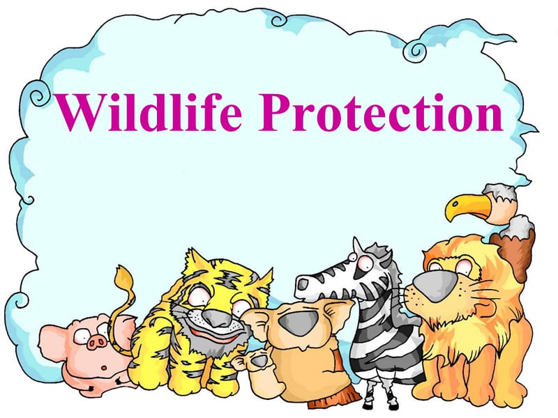 Unit 4《Wildlife protection》课件20（25张PPT）（人教版必修2）_第1页