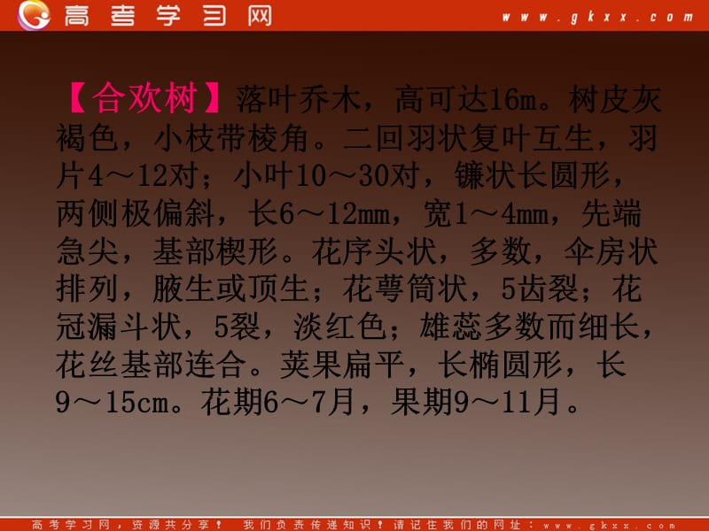 2013-2014学年高中语文 2.5《合欢树》课件 沪教版必修1_第2页