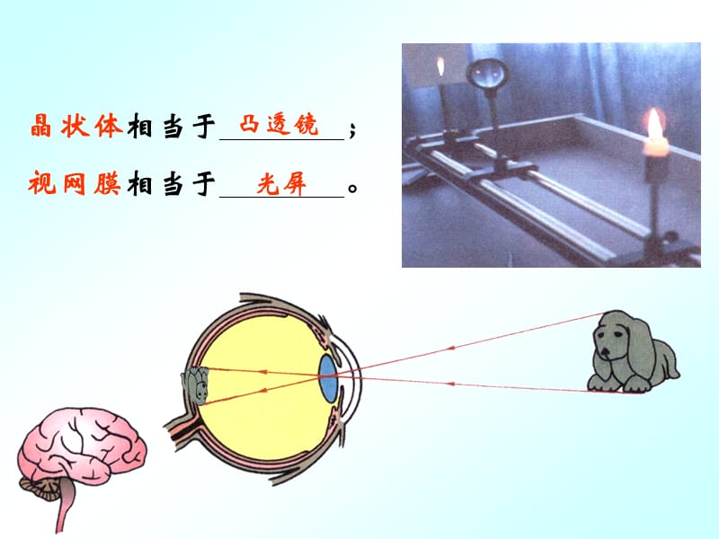 沪科版八年级物理上册　4.5 科学探究：凸透镜成像 课件3_第3页