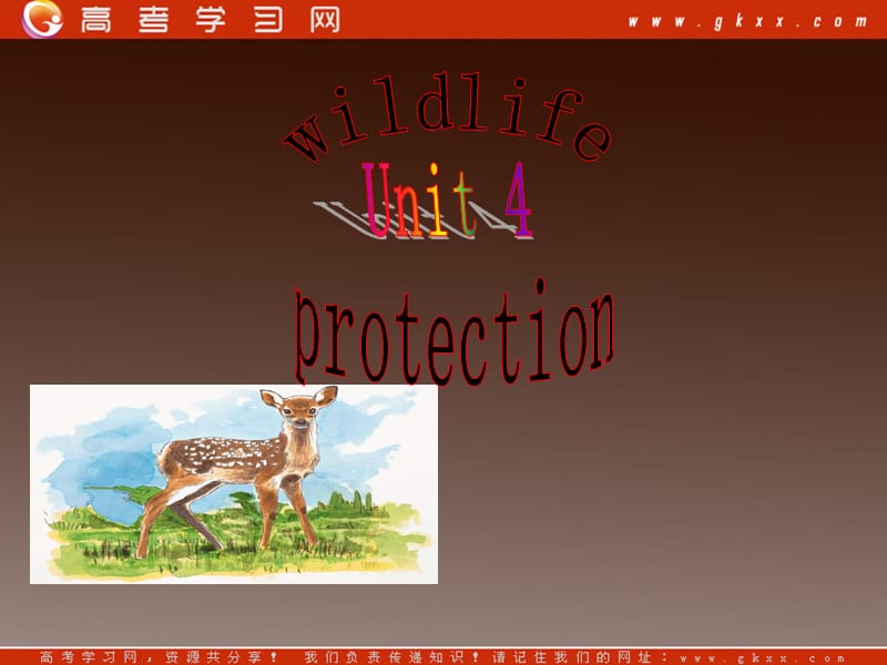 高一英语人教版必修2精选课件《Unit 4 Wildlife protection》Warming up课件_第1页