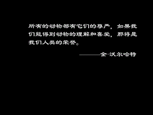 語(yǔ)文 斑羚飛渡 1PPT課件