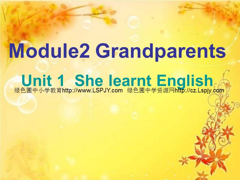 M2Unit 1 She learnt English_第1页