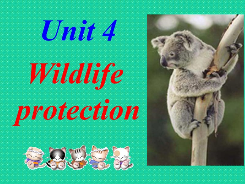 Unit 4 《Wildlife Protection》（校公开课）：课件十（20张PPT）（人教版必修2）_第1页