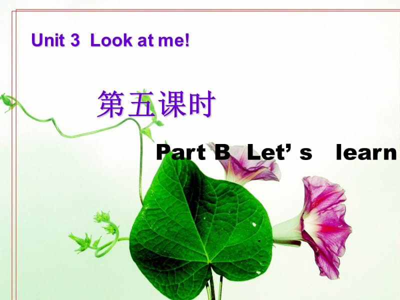 人教pep三年级上册英语三年级英语上册Unit3_Look_at_me!第五课时课件ppt免费下载_第1页