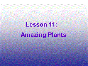 英語八年級下冀教版Unit 2 lesson 11 課件