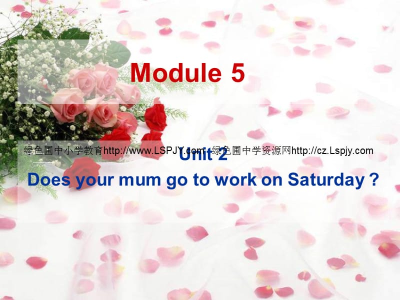 英语三年级下外研版(三起)《Module5 Unit 2 Does your mum go to work on Saturdays》课件1_第1页