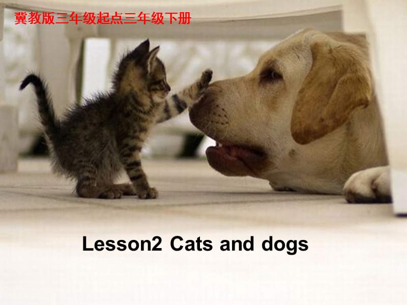 三年级下册英语课件 -Unit 1 Lesson2 Cats and Dogs∣冀教版 (共16张PPT)_第1页