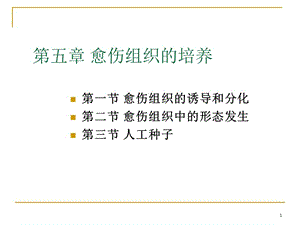 愈傷組織培養(yǎng)ppt課件