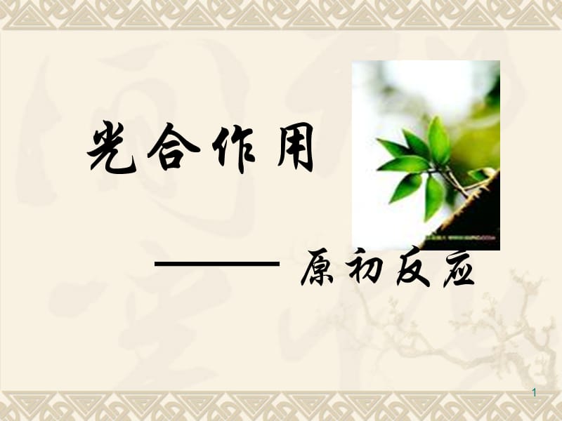 光合作用原初反应ppt课件_第1页