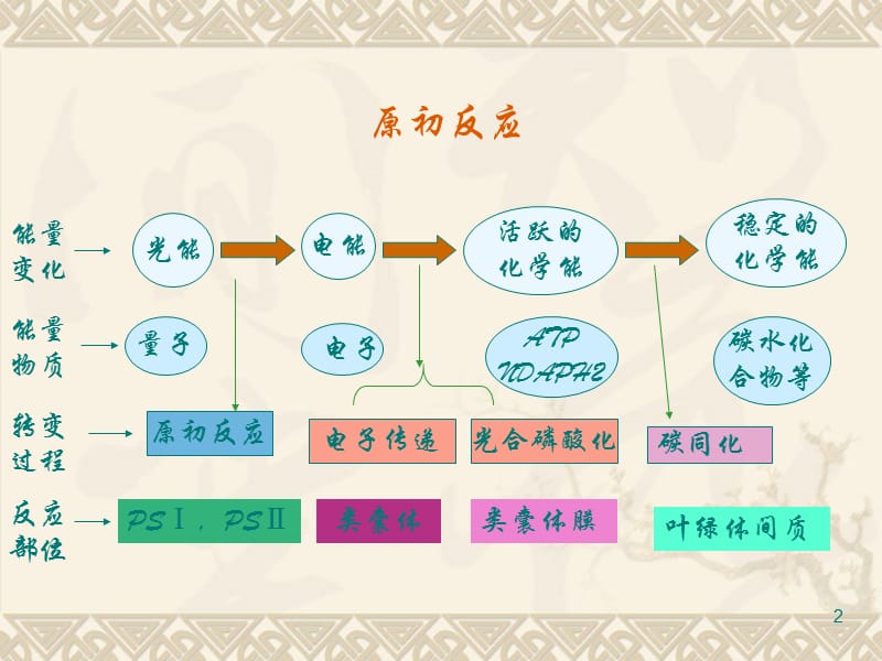 光合作用原初反应ppt课件_第2页