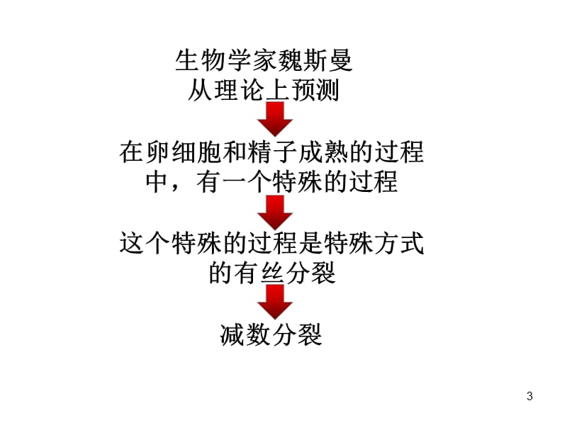 减数分裂和受精作用ppt课件_第3页