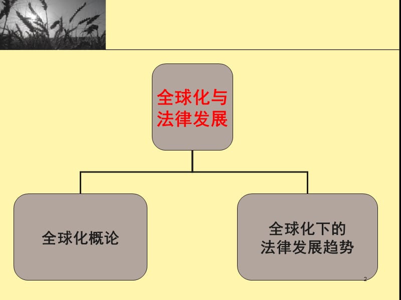 法理学第十五章全球化与法律发展ppt课件_第2页