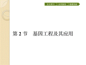 從雜交育種到基因工程ppt課件