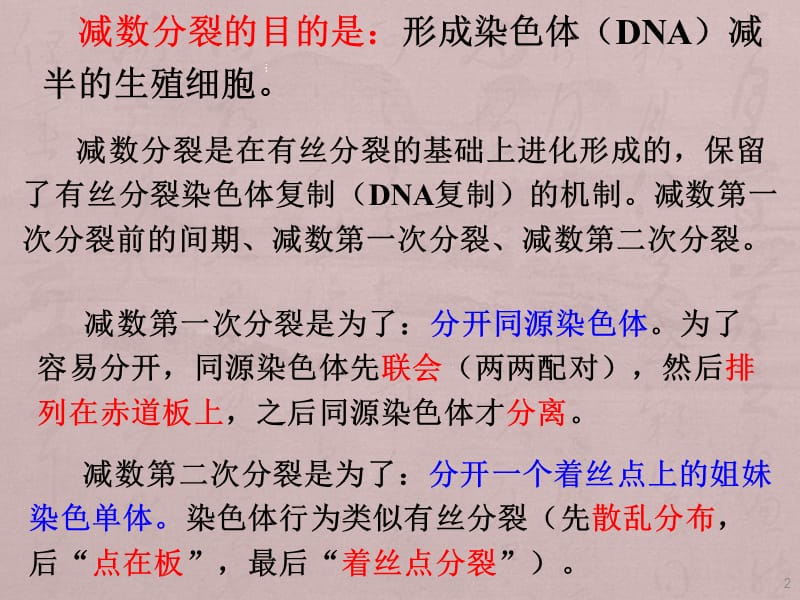 减数分裂一轮复习ppt课件_第2页