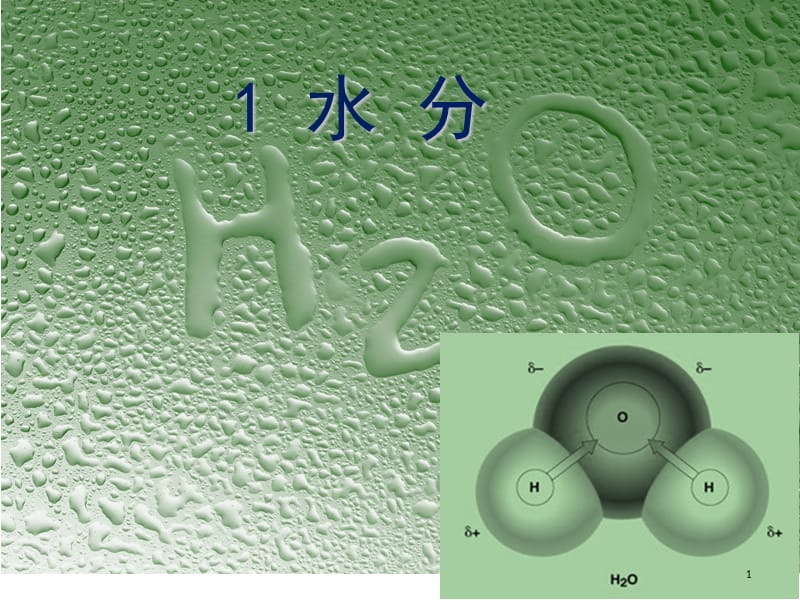 水分ppt课件_第1页