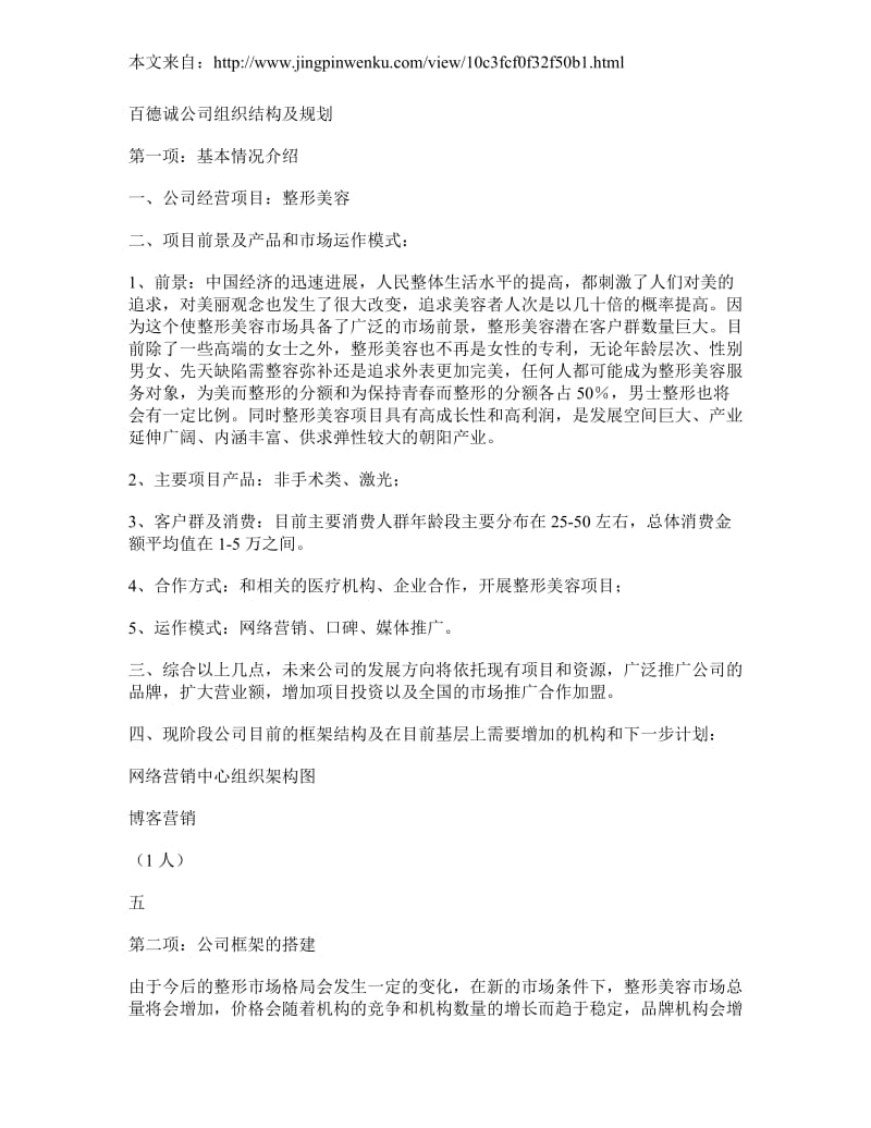 公司的组织架构方案_第1页