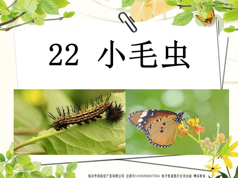 部编语文二年级下册《小毛虫》教学资源----22 小毛虫课件_第1页