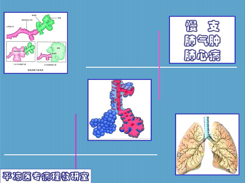 慢支.肺气肿.肺心病ppt课件_第1页