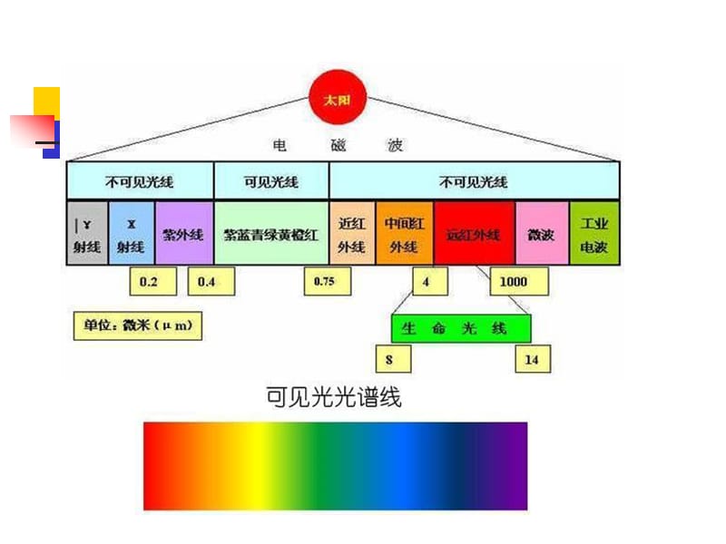 照 明 系 统.ppt_第2页