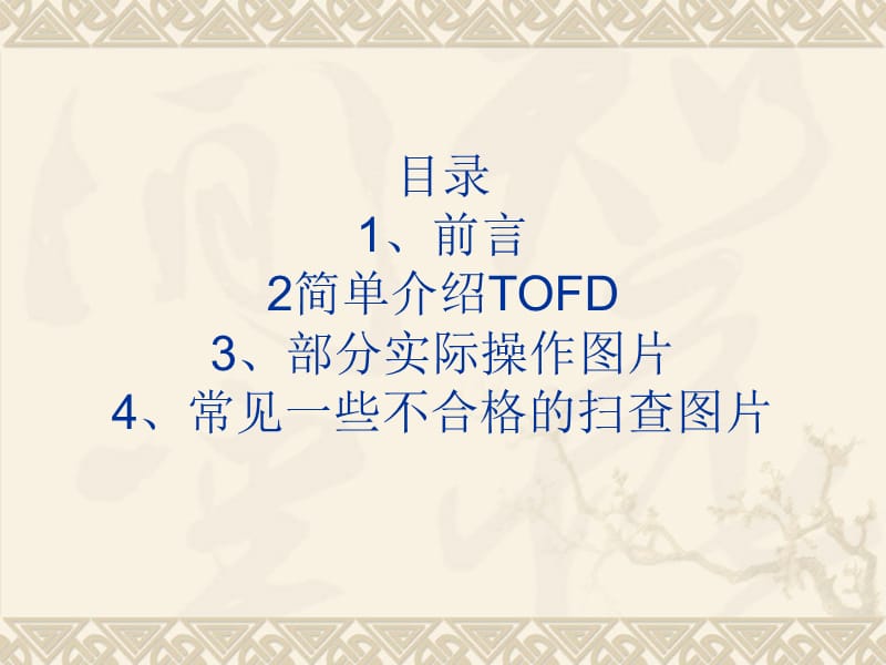 TOFD简单介绍.ppt_第1页