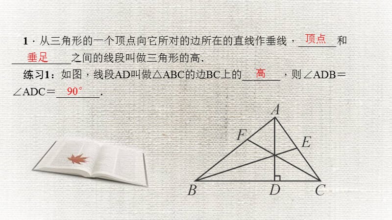 三角形的高中线与角平分线练闯考ppt课件_第3页