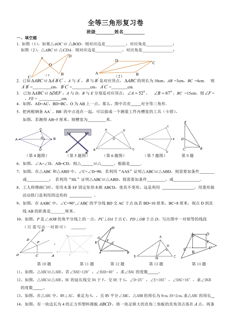 初二全等三角形期末复习卷.doc_第1页