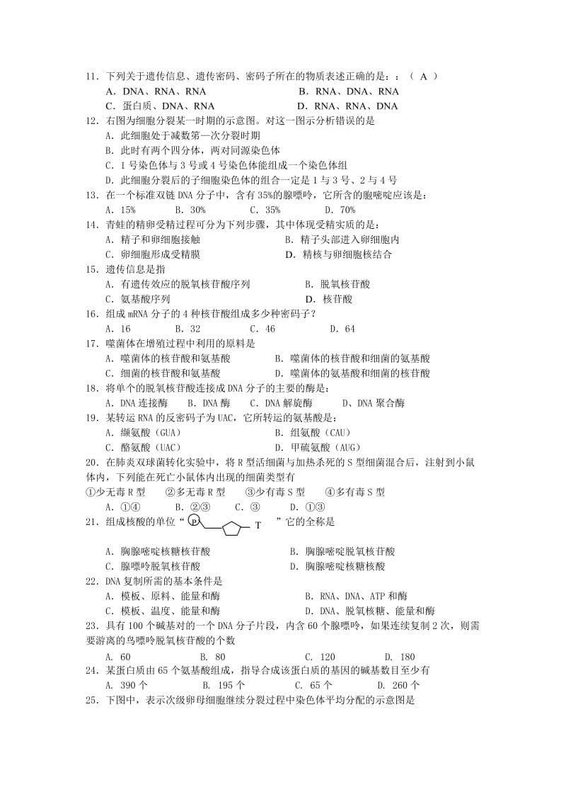 高一生物必修2期末复习综合试题.doc_第2页