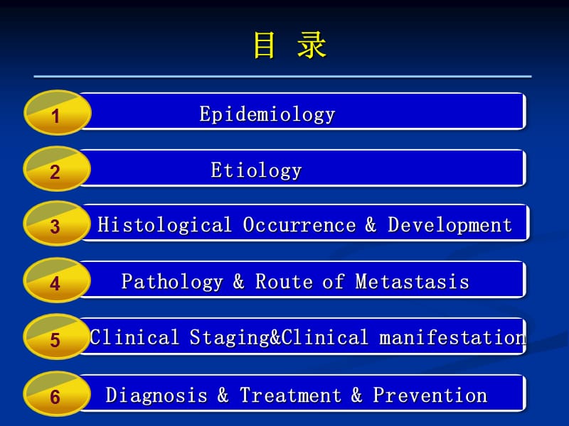 《子宫颈肿瘤》ppt课件.ppt_第3页