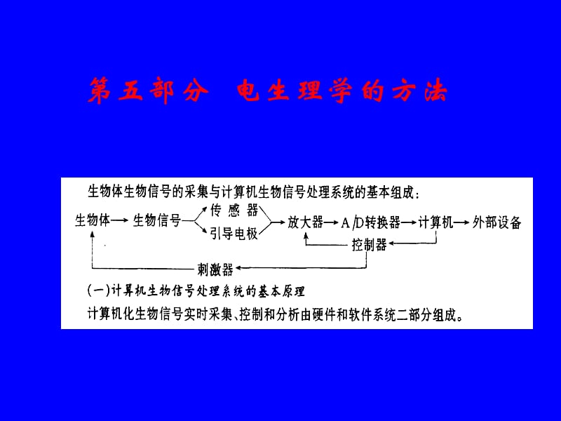 《电生理方法与技术》PPT课件.ppt_第2页