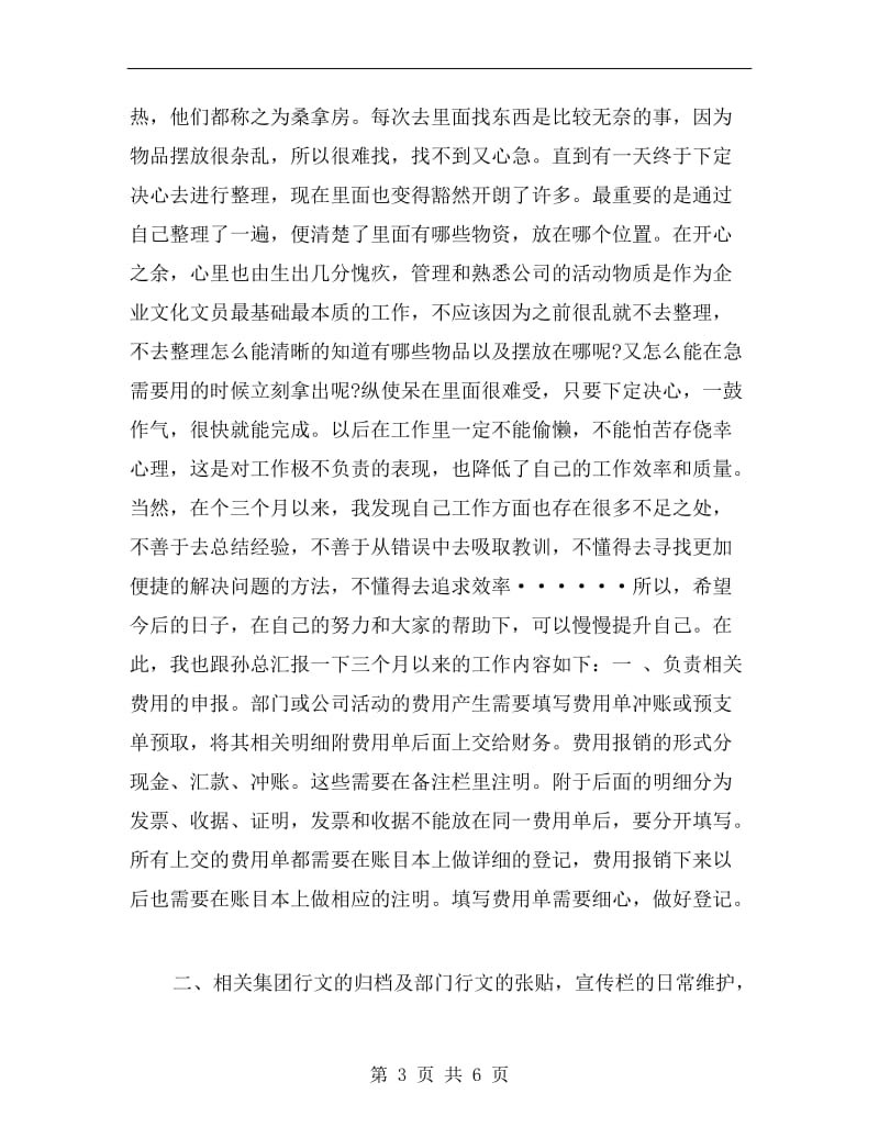 企业文化部试用期年终总结.doc_第3页