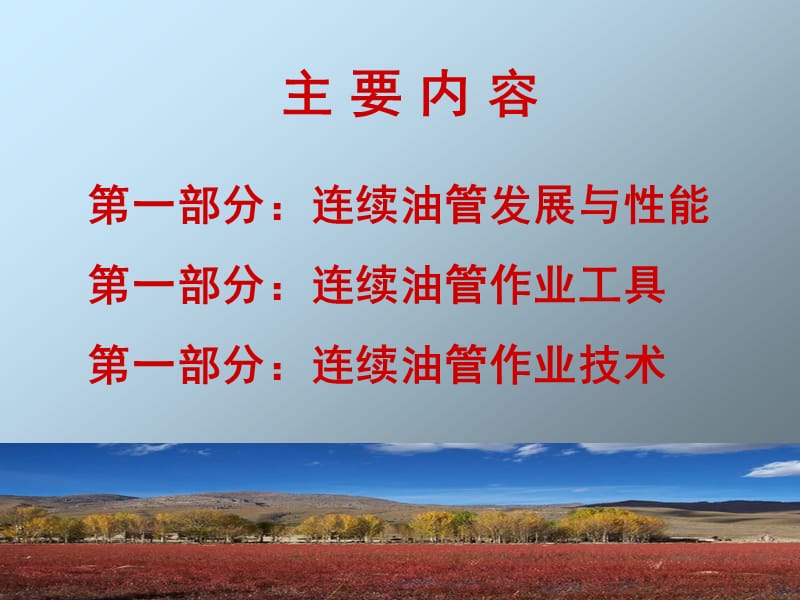 《连续油管技术》PPT课件.ppt_第2页