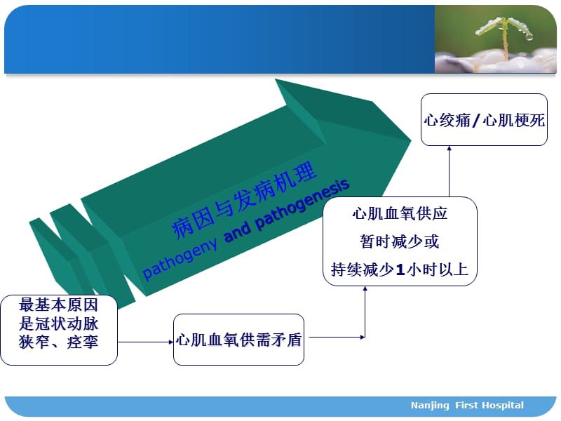 冠心病介入术的护理ppt课件.ppt_第2页