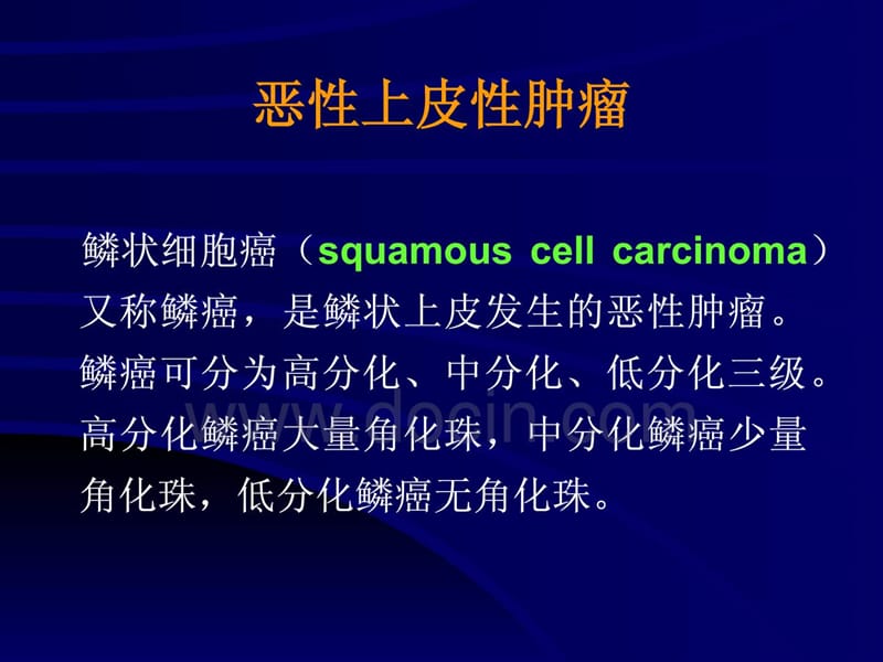 基础医学北大病理学PPT课件恶性上皮性肿瘤.ppt_第1页