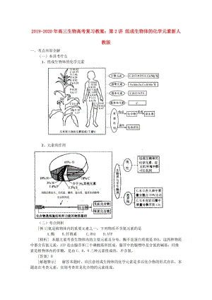 2019-2020年高三生物高考復(fù)習(xí)教案：第2講 組成生物體的化學(xué)元素新人教版.doc