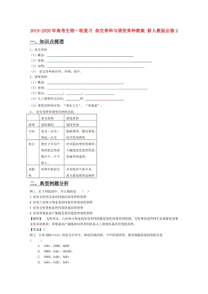 2019-2020年高考生物一輪復習 雜交育種與誘變育種教案 新人教版必修2.doc