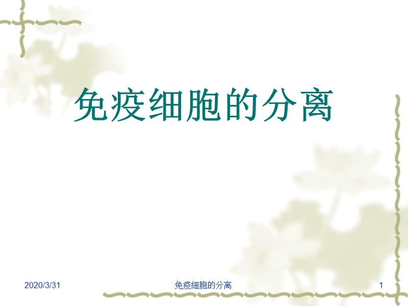 免疫细胞的分离技术.ppt_第1页