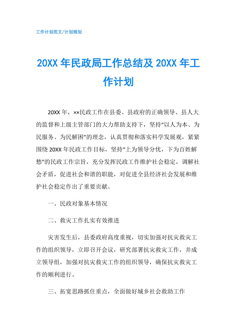 20XX年民政局工作总结及20XX年工作计划.doc_第1页