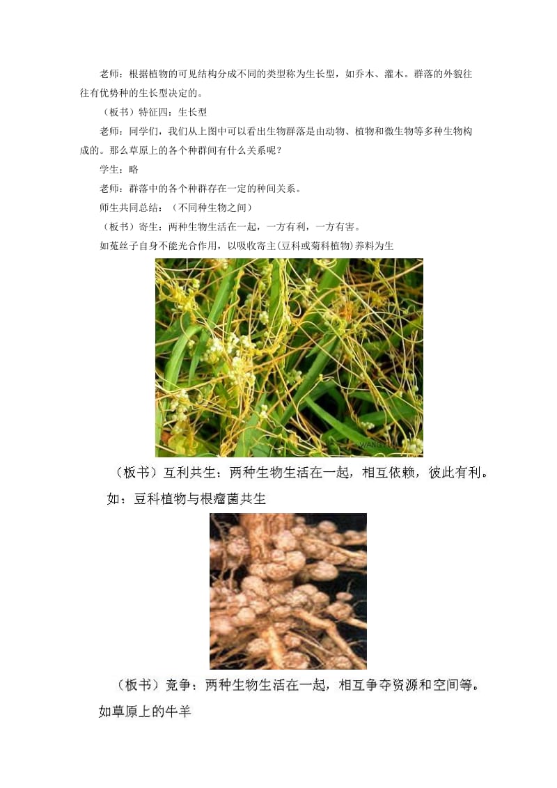 2019-2020年高中生物 2.2.1《群落的基本特征与结构》教案 中图版必修3.doc_第3页